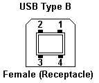 USB Type A Female (Receptacle)