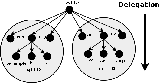 Root and Domain structure