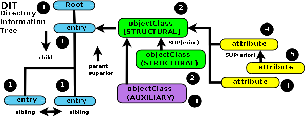 LDAP - objectClass and Attribute hierarchy