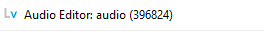 Audio Editor - empty attribute