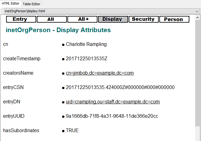 HTML Editor - Form Display Attributes